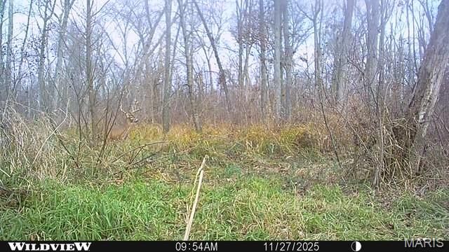 12003 Emerald Road, Carlyle, IL 62231