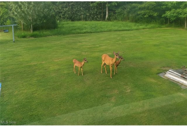 6261 State Route 88, Kinsman, OH 44428