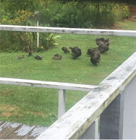 6261 State Route 88, Kinsman, OH 44428