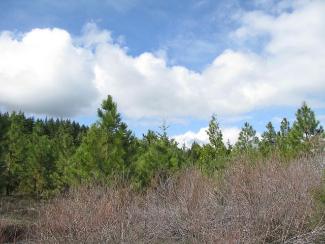 Greensprings Hwy 2200, Klamath Falls, OR 97601