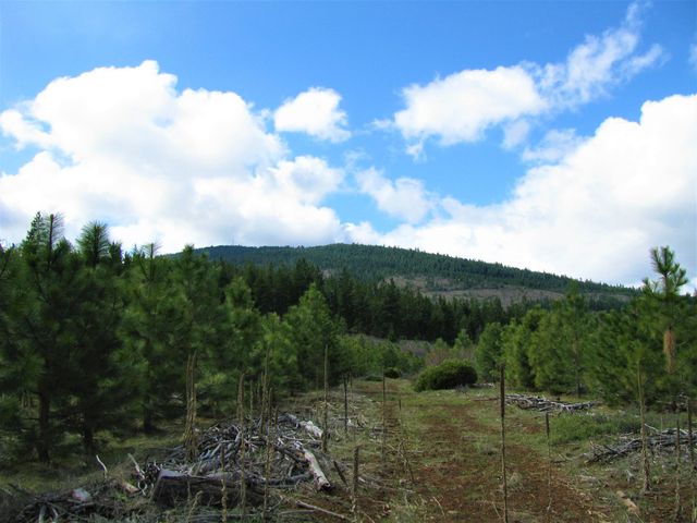 Greensprings Hwy 2200, Klamath Falls, OR 97601