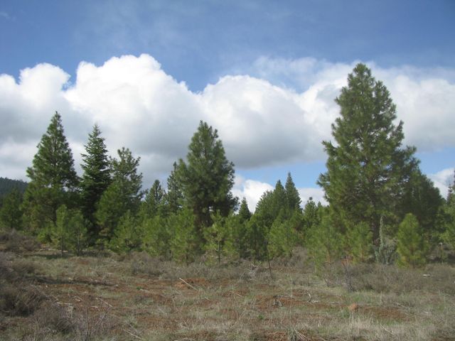 Greensprings Hwy 2200, Klamath Falls, OR 97601