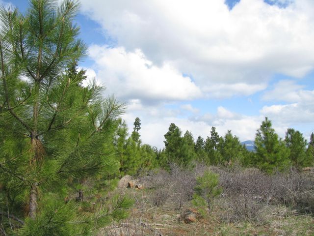 Greensprings Hwy 2200, Klamath Falls, OR 97601