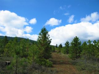 Greensprings Hwy 2200, Klamath Falls, OR 97601