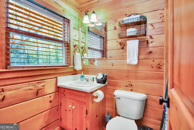 4057 Whitepath Road, Ellijay, GA 30540