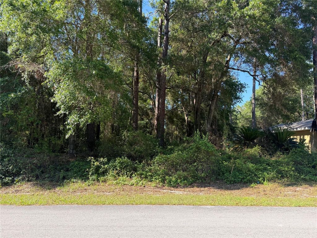 10927 N AIRWAY LOOP, Citrus Springs, FL 34434