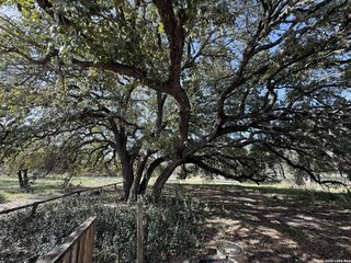 21480 Applewhite, San Antonio, TX 78264