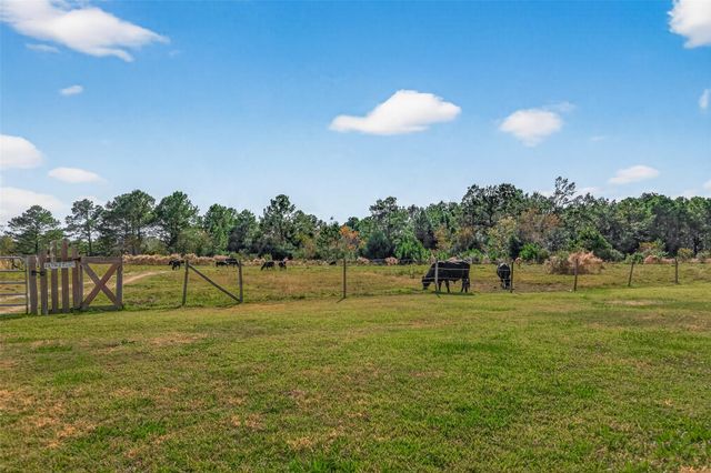 16910 County Line Road Road, Winnie, TX 77665