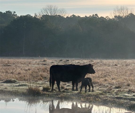 16910 County Line Road Road, Winnie, TX 77665