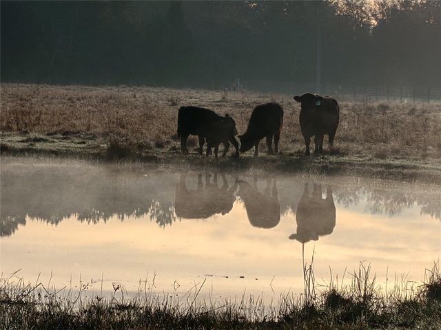 16910 County Line Road Road, Winnie, TX 77665