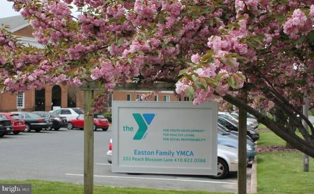 1009 S WASHINGTON ST, Easton, MD 21601