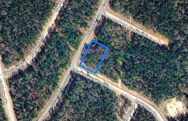 105 Bunkhouse Road, New Waverly, TX 77340