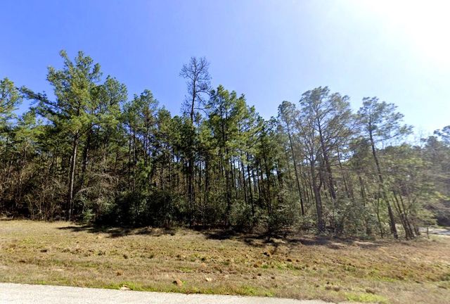 105 Bunkhouse Road, New Waverly, TX 77340
