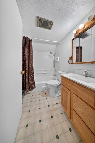 113 Chaffee Drive, Hiawatha, IA 52233