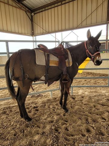 3707 S State Highway 173 N, Hondo, TX 78861