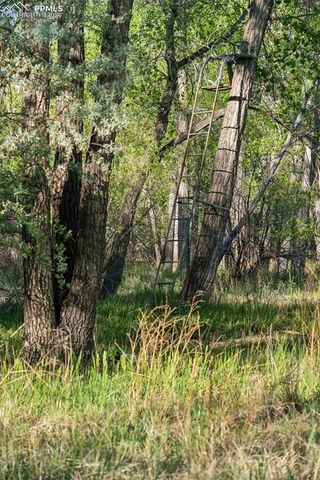 16990 Old Pueblo Road, Fountain, CO 80817