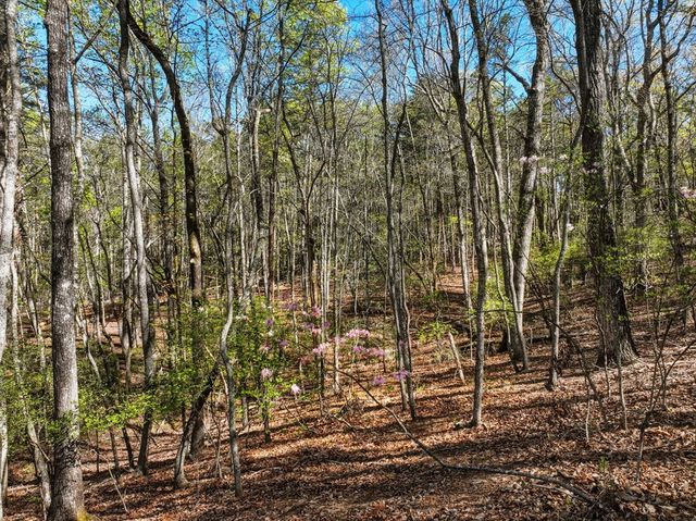 320 Fern Park Drive, Dawsonville, GA 30534