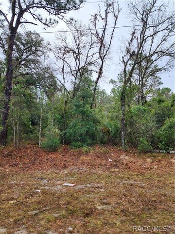 7360 W Dunnellon Road, Dunnellon, FL 34433