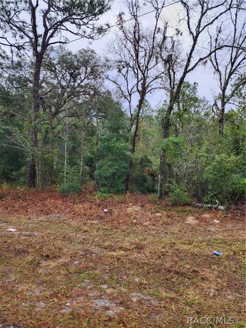 7360 W Dunnellon Road, Dunnellon, FL 34433