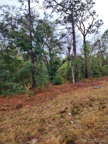 7360 W Dunnellon Road, Dunnellon, FL 34433