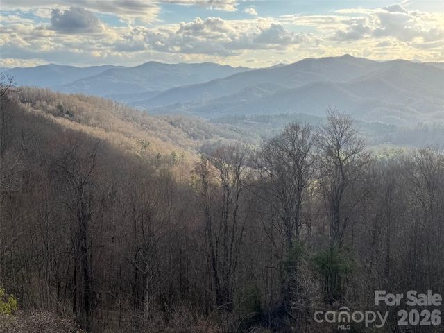 686 Hyacinth Drive, Clyde, NC 28721