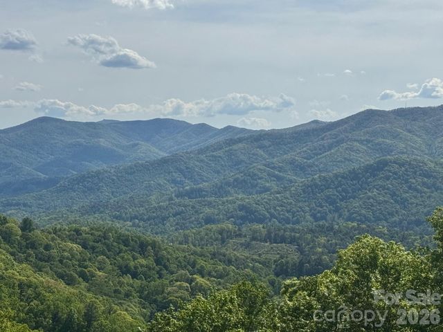 686 Hyacinth Drive, Clyde, NC 28721