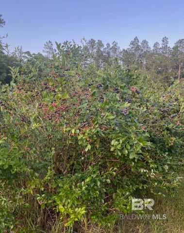 25151 Goat Cooper Road, Robertsdale, AL 36567