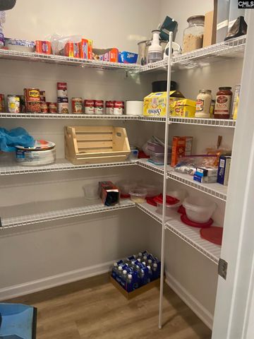 296 Wahoo Circle, Irmo, SC 29063