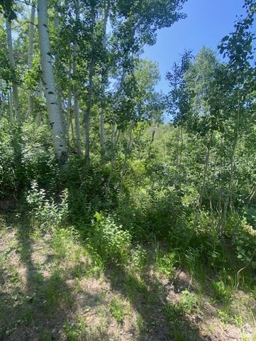 2160 S ASPEN RIDGE DR, Coalville, UT 84017