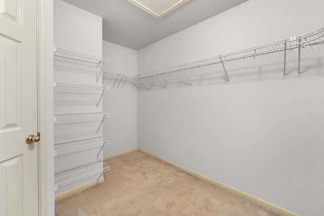 9104 Elm Creek CV, Austin, TX 78736