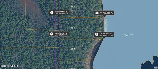 56397 W No Road Trail, Willow, AK 99688