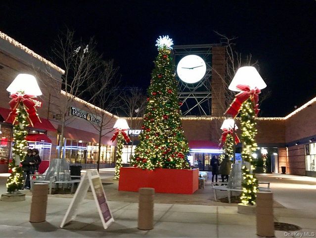 1020 Elton Street 18BB, Brooklyn, NY 11208