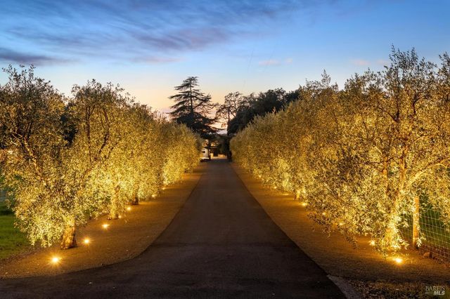 1135 Soda Canyon Rd, Napa, CA 94558