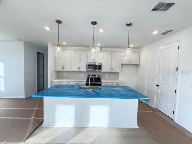 30104 MISTY PINES ROAD, Mount Dora, FL 32757