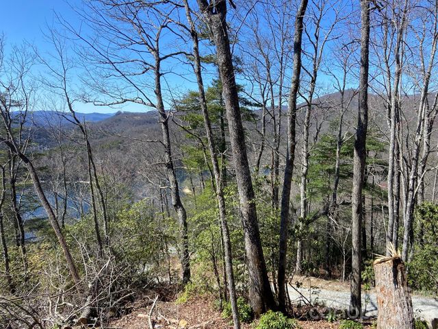 Lt 15B Von Trapp Lane 15B, Tuckasegee, NC 28783
