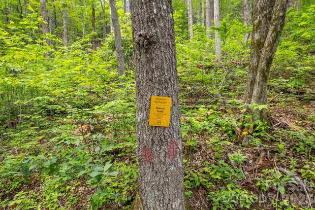 Lt 15B Von Trapp Lane 15B, Tuckasegee, NC 28783