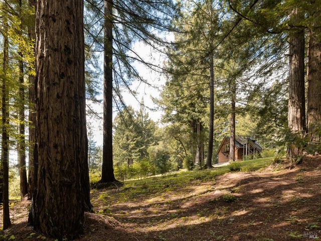 15570 Bittner Ln, Occidental, CA 95465