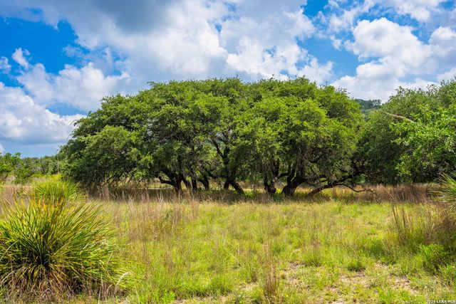 147 Gray Wolf, Blanco, TX 78606