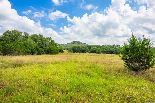 147 Gray Wolf, Blanco, TX 78606