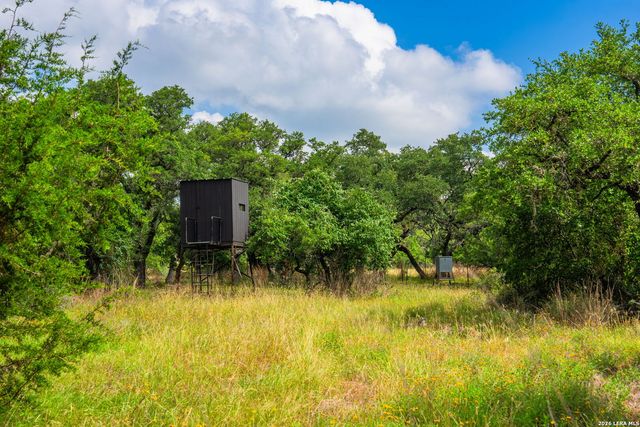 147 Gray Wolf, Blanco, TX 78606