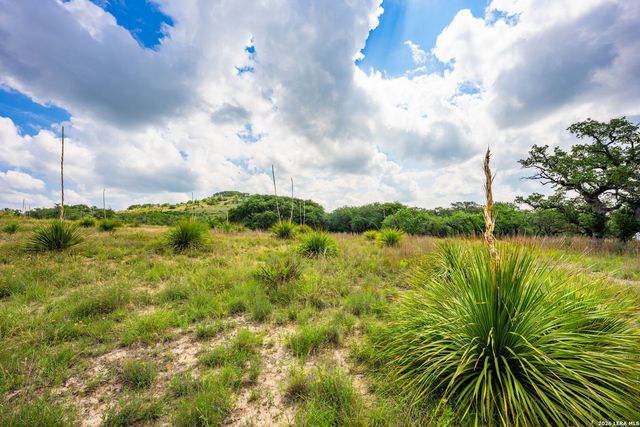 147 Gray Wolf, Blanco, TX 78606