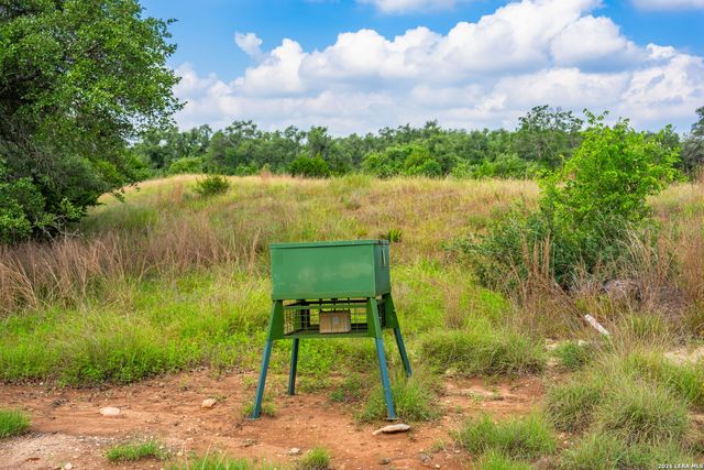 147 Gray Wolf, Blanco, TX 78606