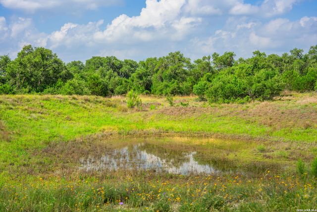 147 Gray Wolf, Blanco, TX 78606