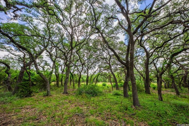 147 Gray Wolf, Blanco, TX 78606