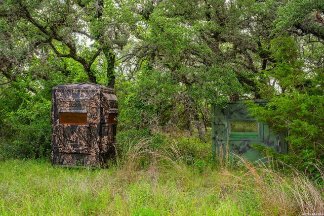 147 Gray Wolf, Blanco, TX 78606