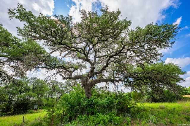 147 Gray Wolf, Blanco, TX 78606