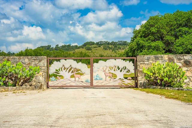 147 Gray Wolf, Blanco, TX 78606