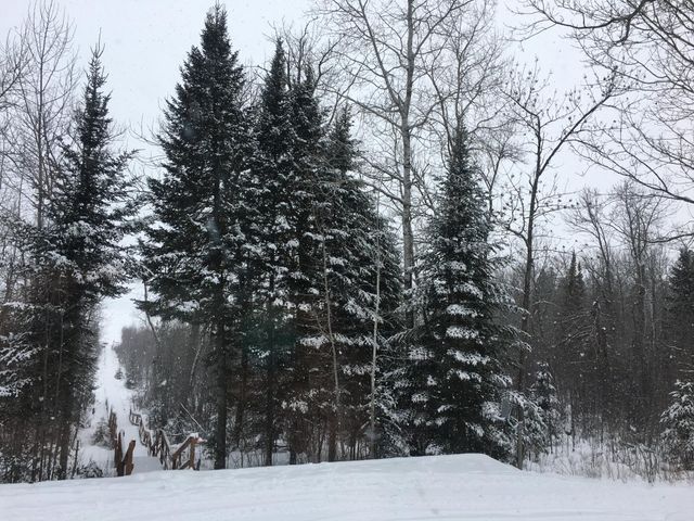 50185 219th Avenue, Bemidji, MN 56601