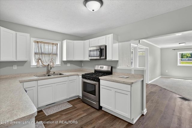 217 North Street, Mulliken, MI 48861