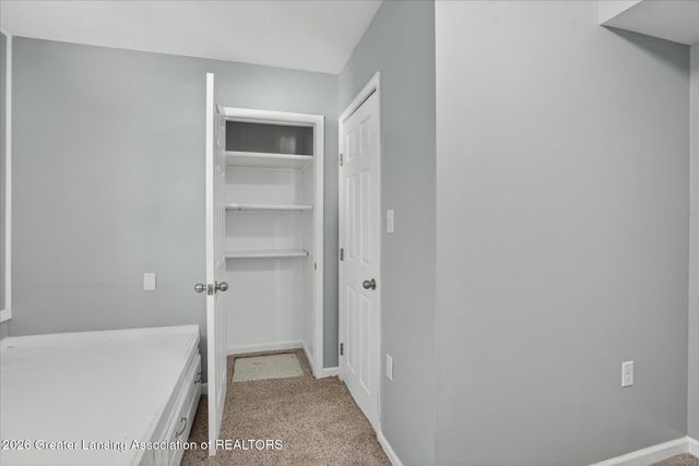 217 North Street, Mulliken, MI 48861